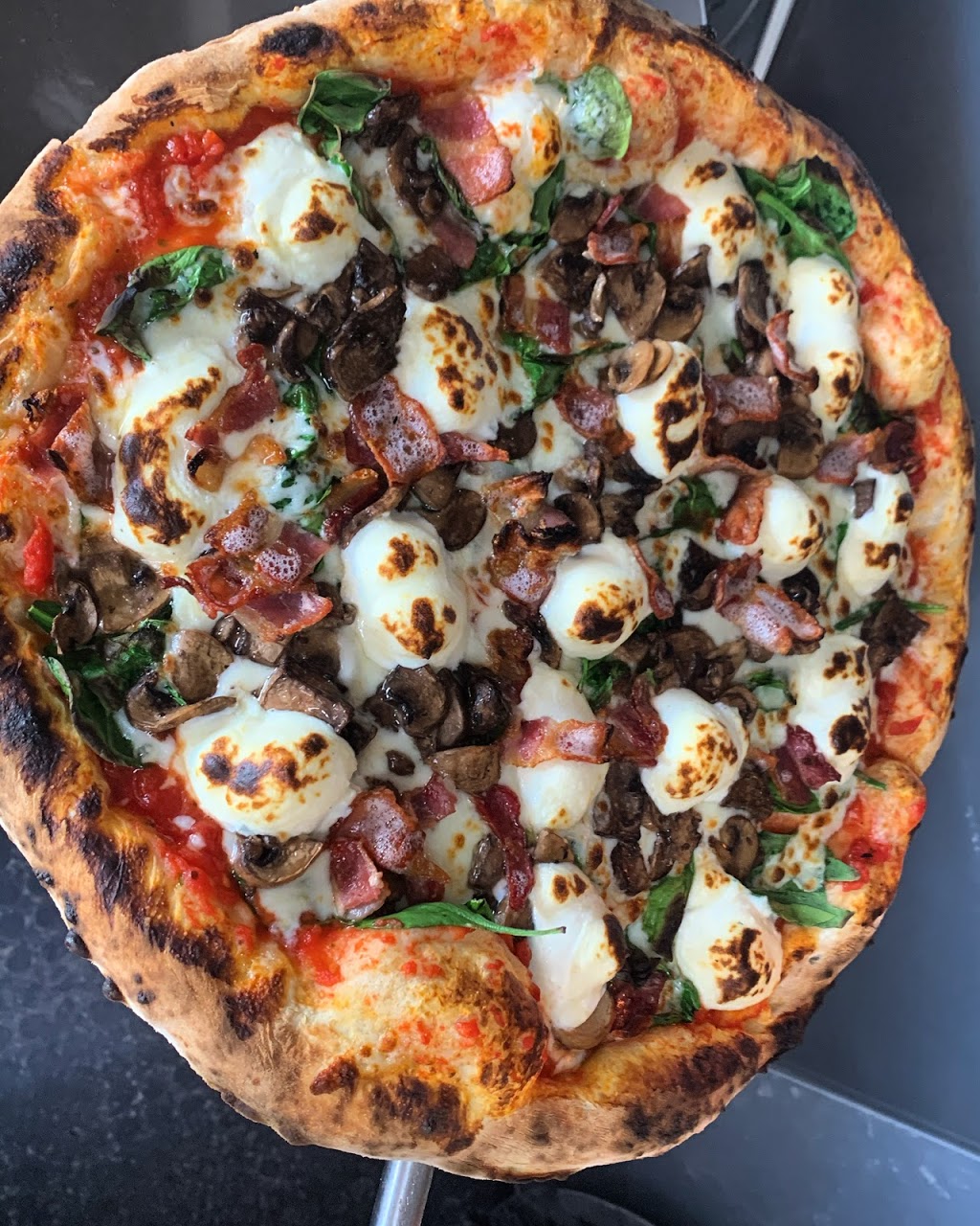 Pizzeataly | restaurant | 6821 W Hillsborough Ave, Tampa, FL 33634, USA | 8139663697 OR +1 813-966-3697