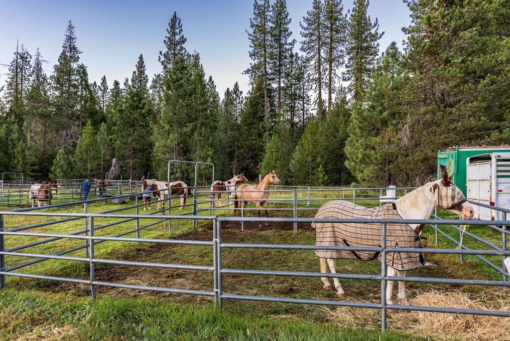 St. Bernard Lodge | restaurant | 44801 Hwy 36 E, Mill Creek, CA 96061, USA | 5302583382 OR +1 530-258-3382