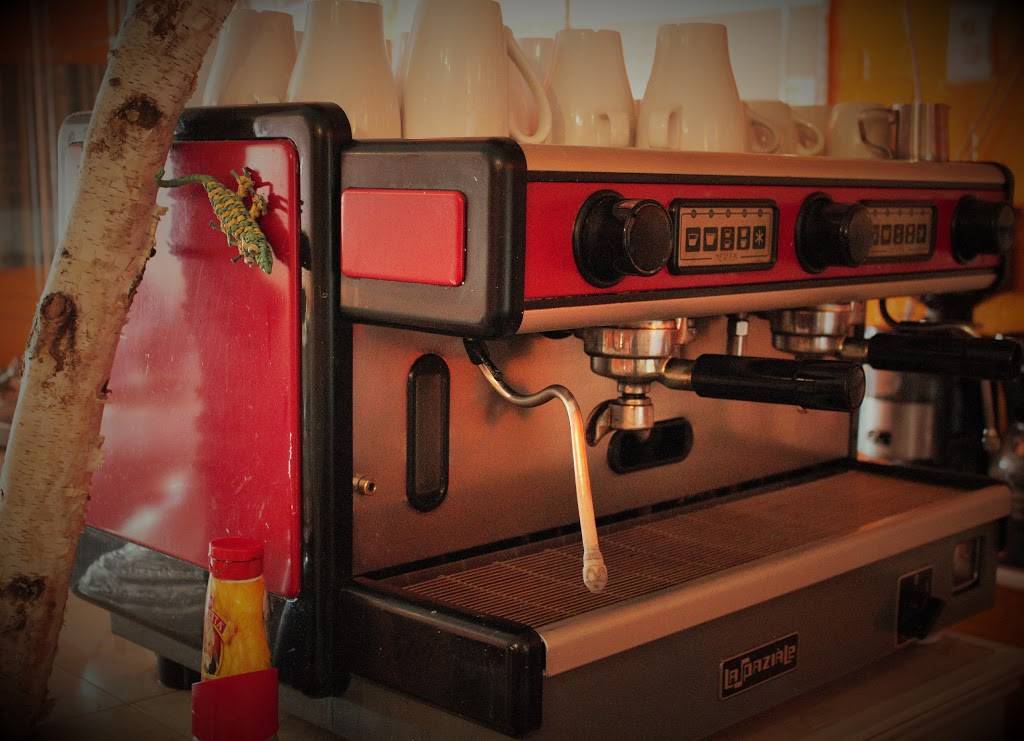 Habana Libre Restaurant | restaurant | 1440 W Chicago Ave, Chicago, IL 60642, USA | 3122433303 OR +1 312-243-3303