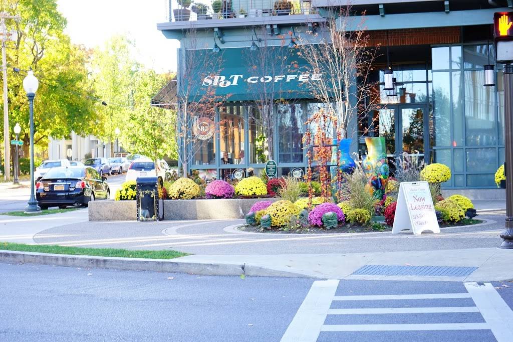 Spot Coffee | cafe | 55 Railroad Pl, Saratoga Springs, NY 12866, USA | 5183065323 OR +1 518-306-5323