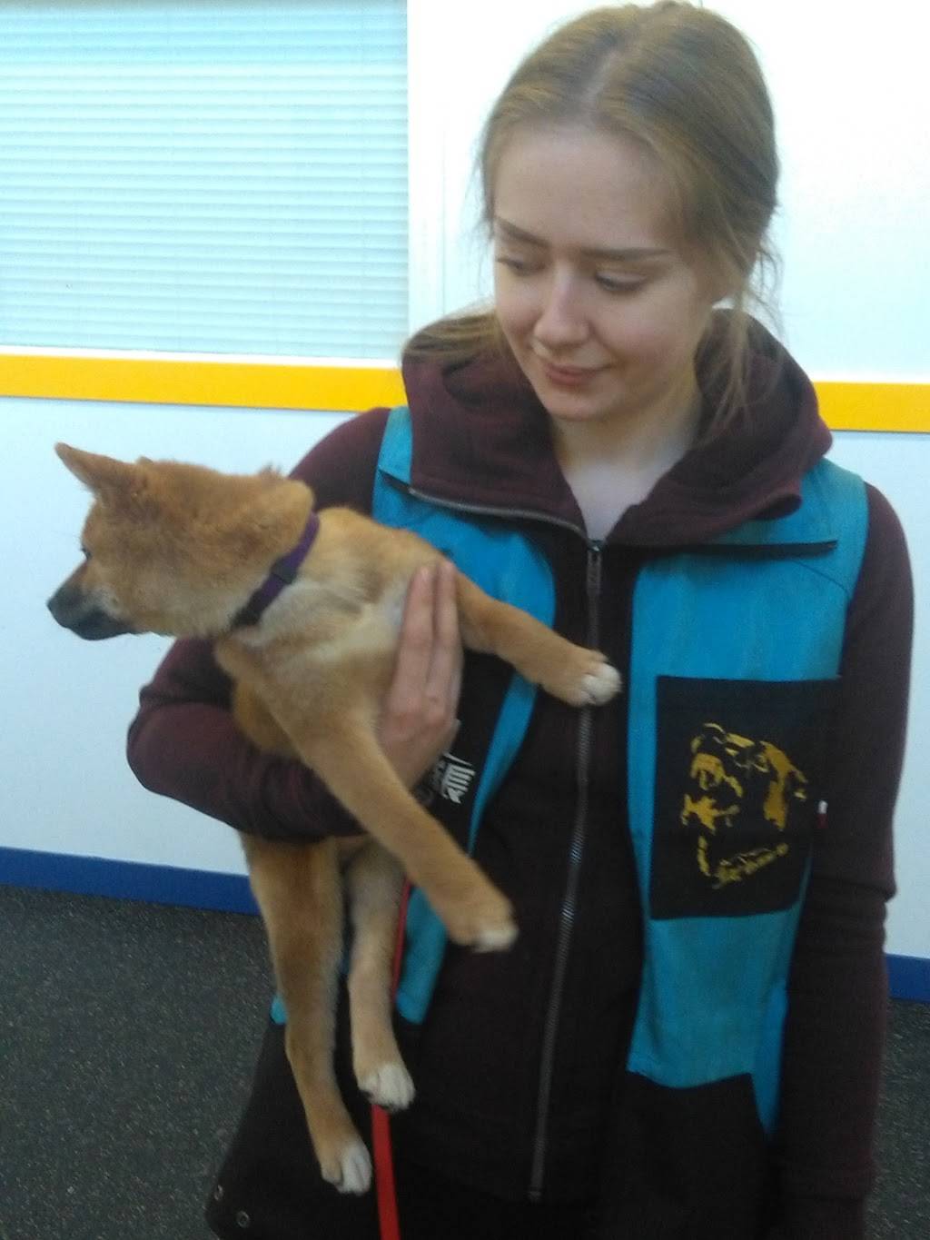 CaptainK9 | restaurant | 2115 Midland Ave Unit 9, Scarborough, ON M1P 3E4, Canada | 4162936686 OR +1 416-293-6686