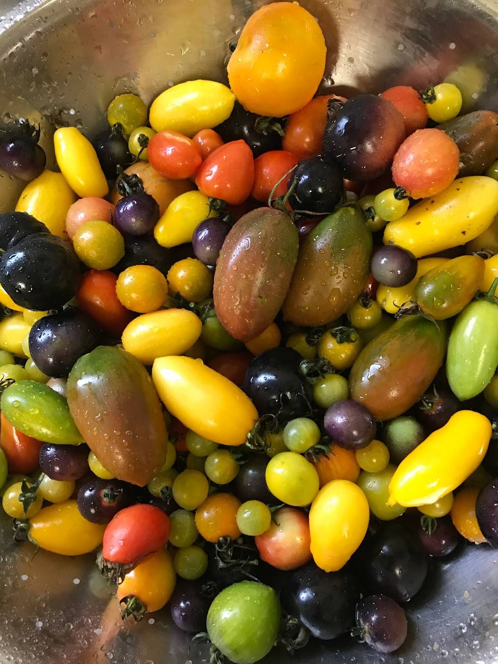 Grotto | restaurant | 101 S Main St, North Syracuse, NY 13212, USA | 3152148911 OR +1 315-214-8911