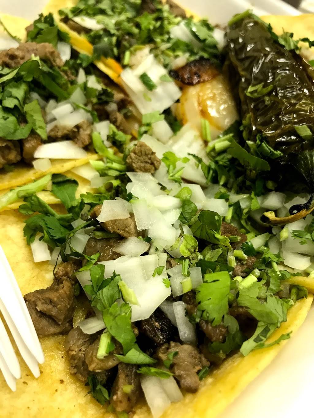Alazan poblano Mexican food | restaurant | 7721 Almeda Genoa Rd, Houston, TX 77075, USA | 7139912317 OR +1 713-991-2317