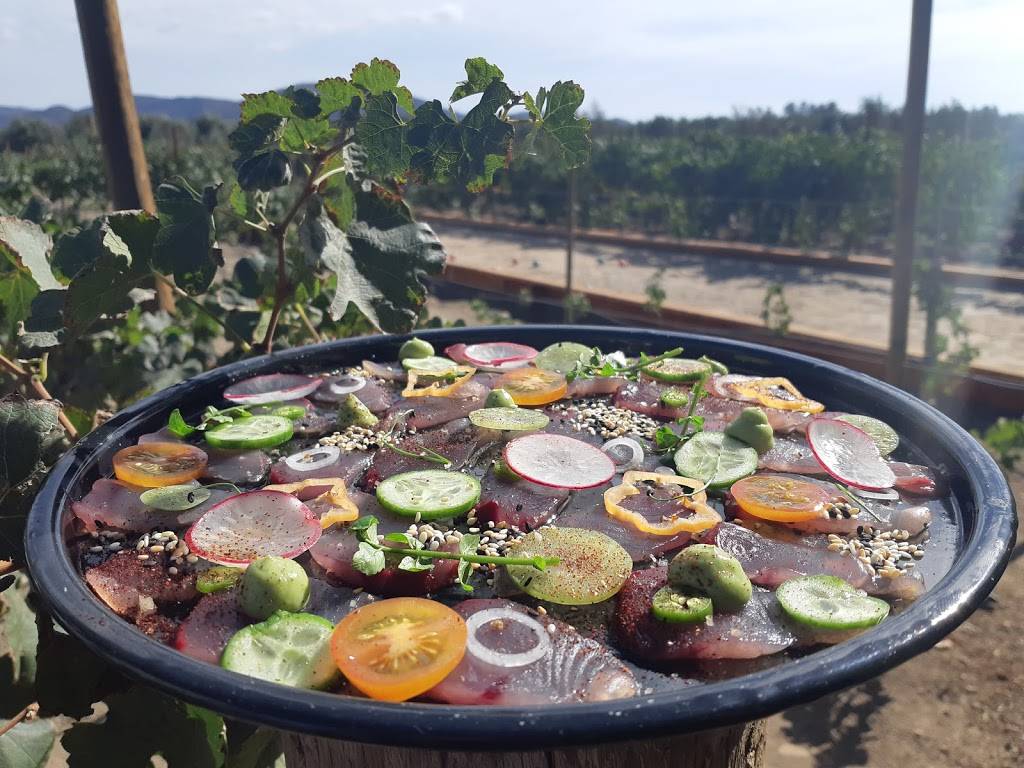 Peninsula en el valle | restaurant | Valle de Guadalupe, El porvenir, 22785 Ensenada, B.C., Mexico | 016461426470 OR +52 646 142 6470