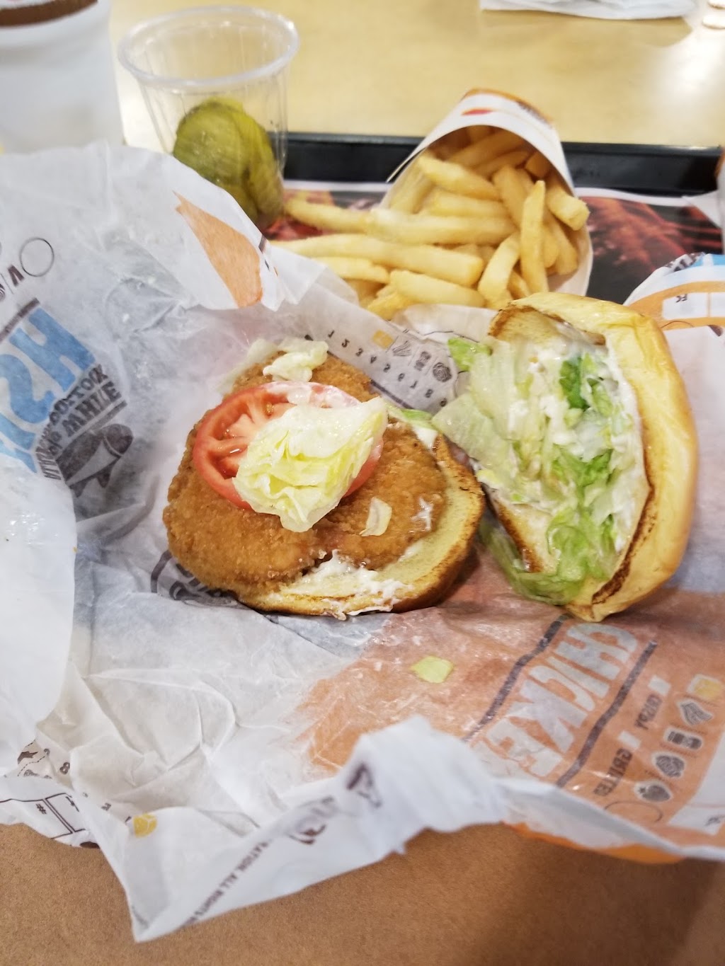 Burger King | restaurant | 1303 US-331, Defuniak Springs, FL 32435, USA | 8508922423 OR +1 850-892-2423