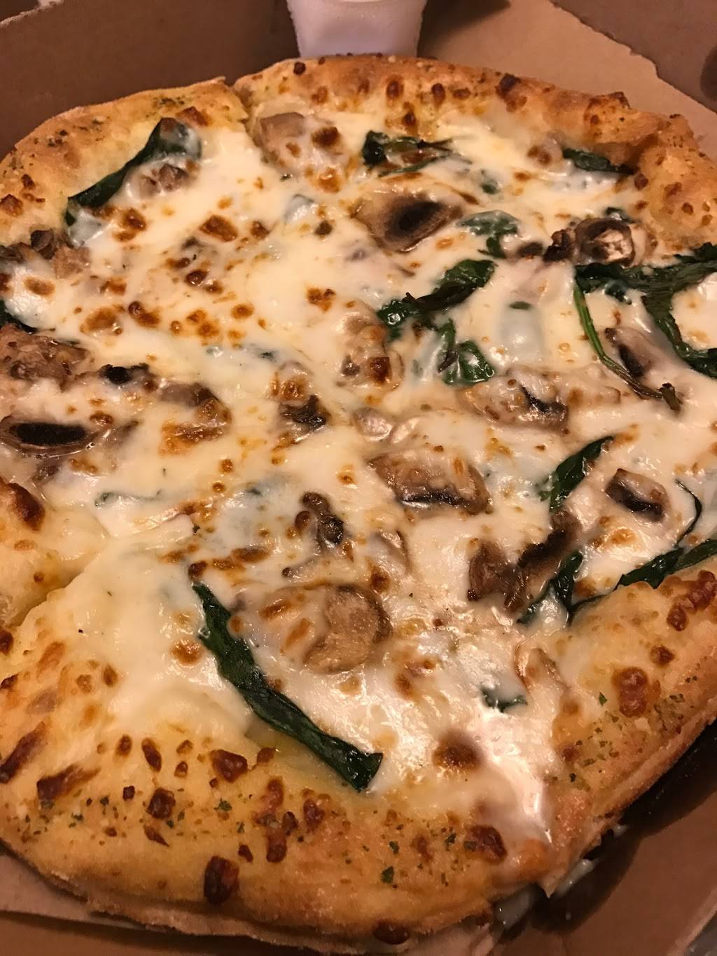 Dominos Pizza | meal delivery | 8962 Burke Lake Rd, Springfield, VA 22151, USA | 7037642807 OR +1 703-764-2807