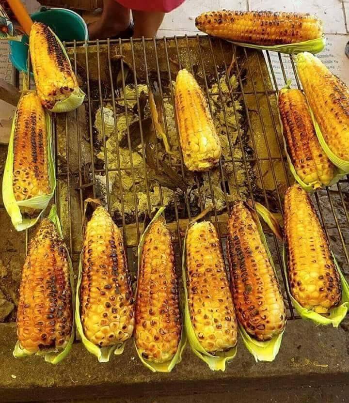 El Maguey | restaurant | 1534 Troy Rd, Edwardsville, IL 62025, USA | 6186593744 OR +1 618-659-3744