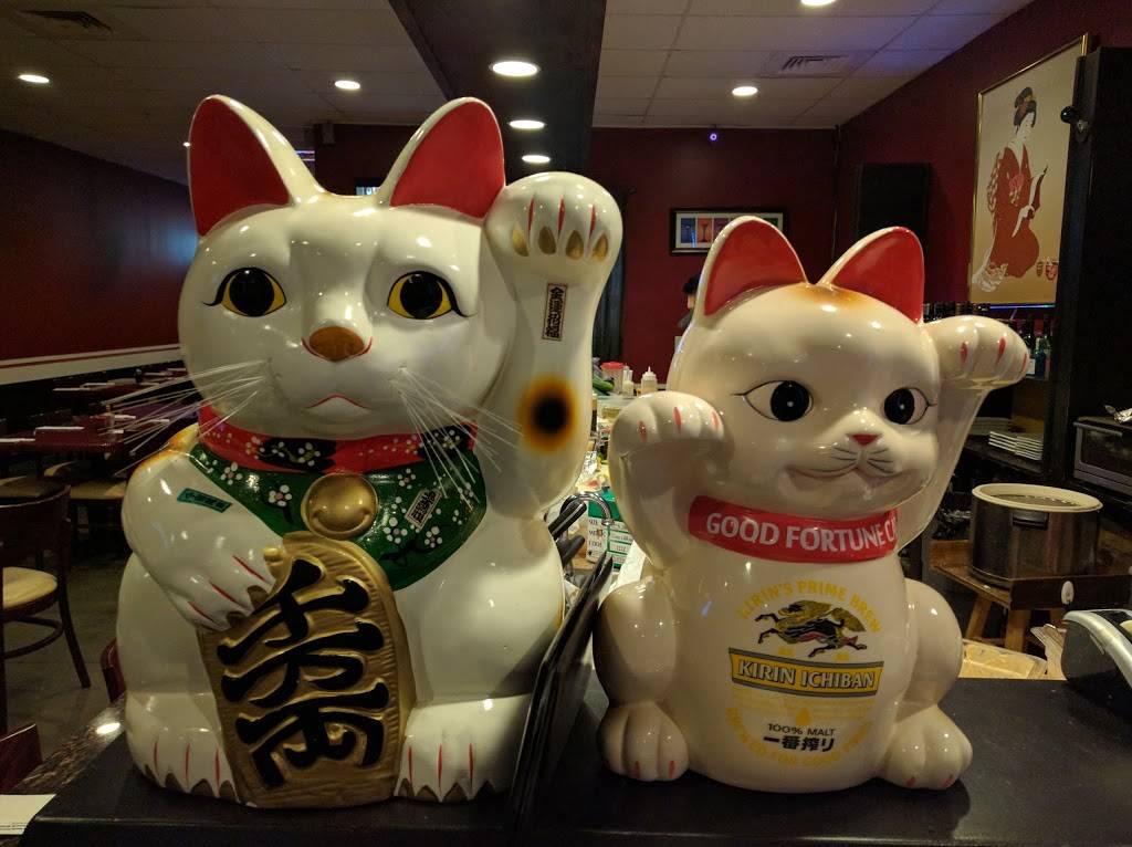 Sushi Storm Thai & Japanese Restaurant | restaurant | 13900 County Rd 455 #109A, Clermont, FL 34711, USA | 4076143944 OR +1 407-614-3944