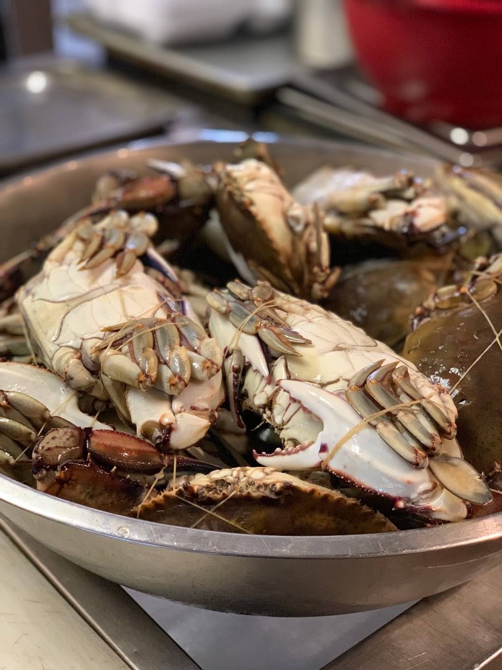 Taty Griot Express Restaurant | restaurant | 7108 Pembroke Rd, Miramar, FL 33023, USA | 9547931309 OR +1 954-793-1309