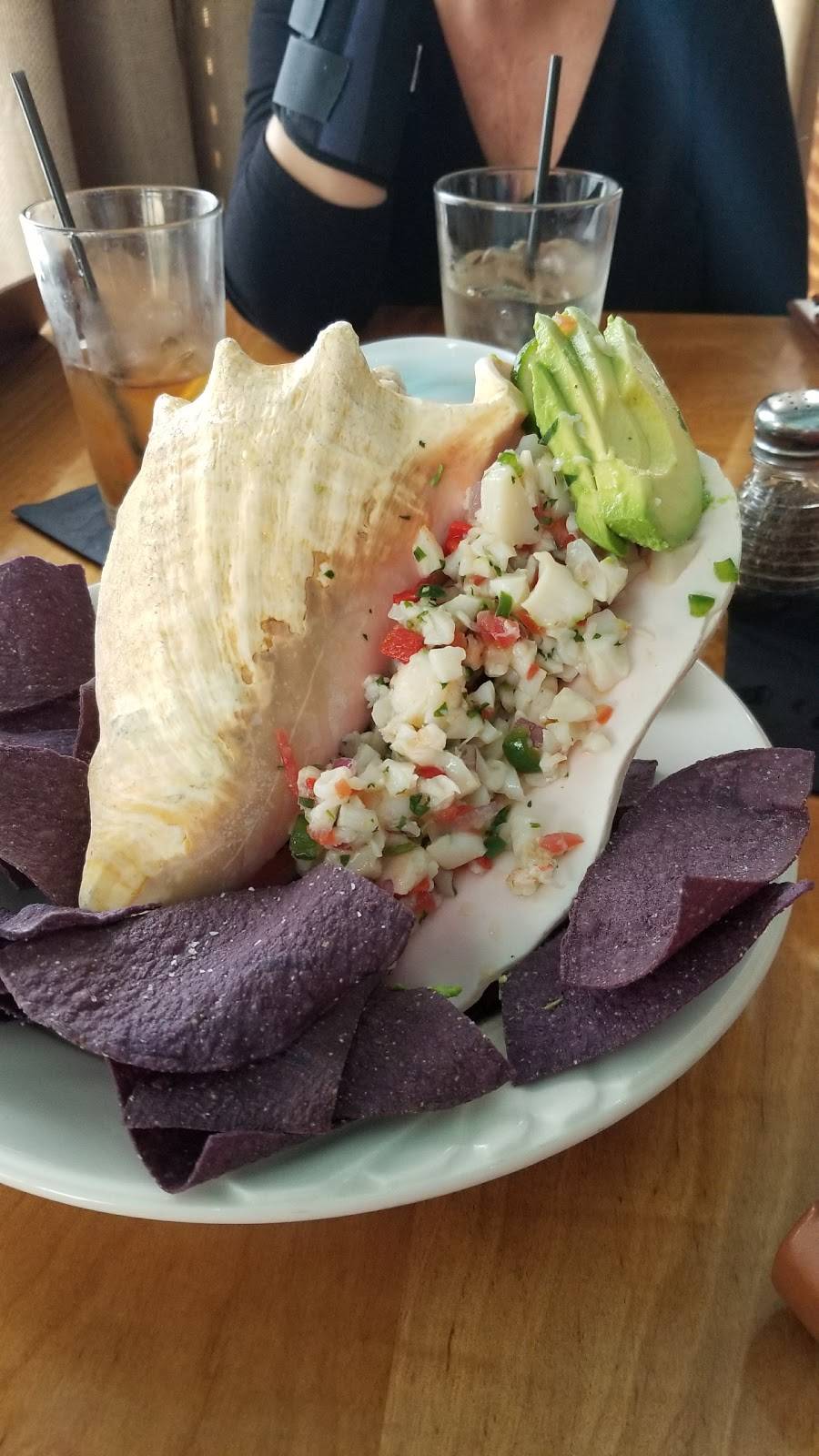 Blackfly | restaurant | 108 Anastasia Blvd, St. Augustine, FL 32080, USA | 9042016300 OR +1 904-201-6300