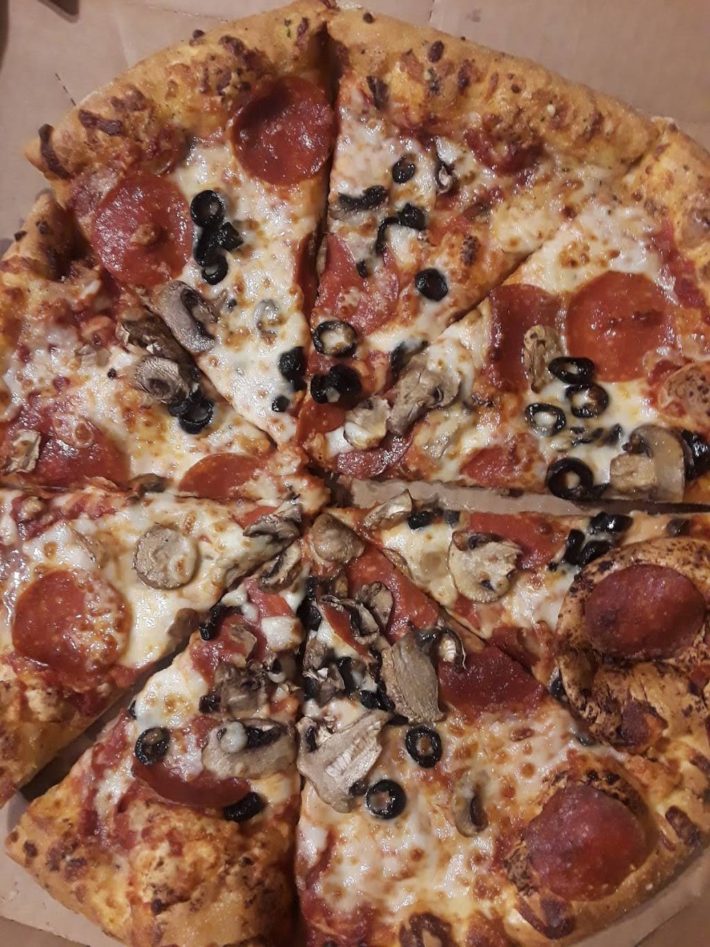 Dominos Pizza | meal delivery | 2720 Winnetka Ave N, New Hope, MN 55427, USA | 7635410030 OR +1 763-541-0030