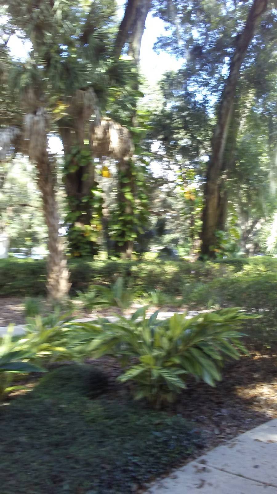 Candor Grille | cafe | 10150 Highland Manor Dr #110, Tampa, FL 33610, USA | 8136260629 OR +1 813-626-0629