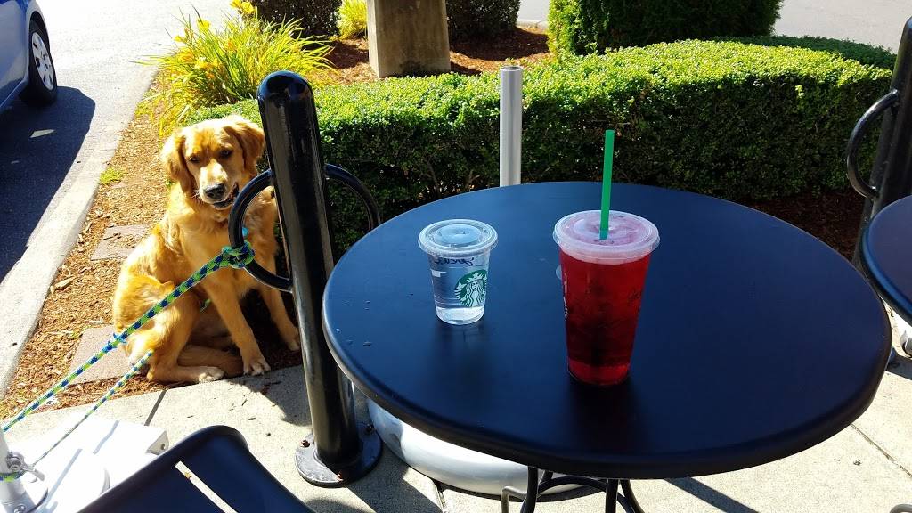 Starbucks | cafe | 34024 Hoyt Rd SW, Federal Way, WA 98023, USA | 2538381023 OR +1 253-838-1023