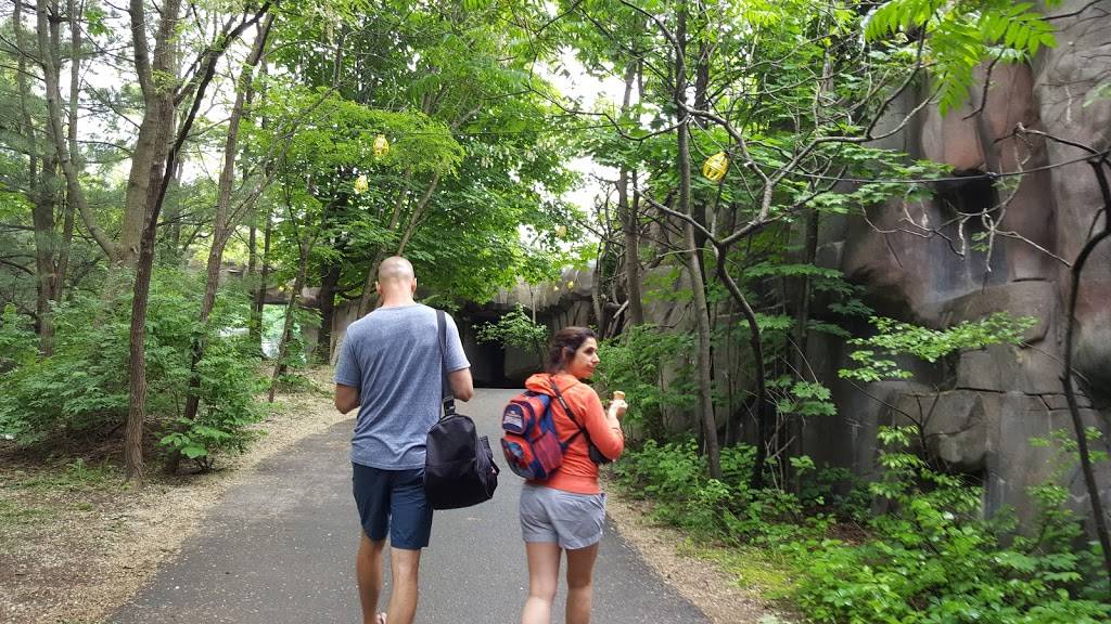 Beaver Tails | restaurant | 525 Rue Saint-Hubert, Granby, QC J2G 5P3, Canada | 4503729113 OR +1 450-372-9113