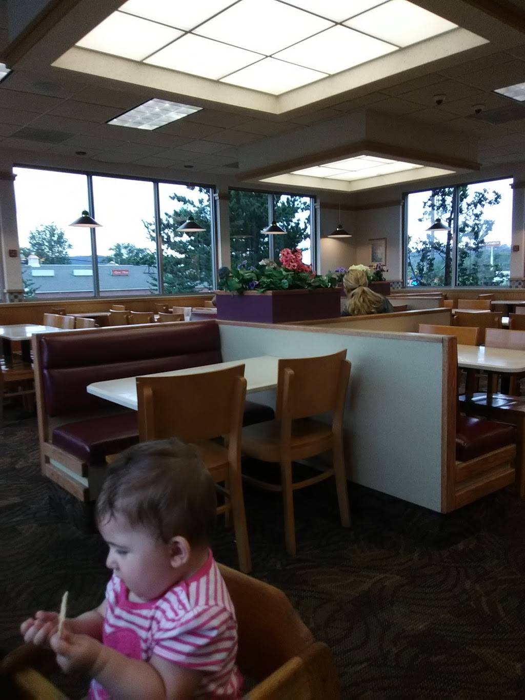 Wendys | restaurant | 963 Golden Mile Rd, Towanda, PA 18848, USA | 5702656329 OR +1 570-265-6329