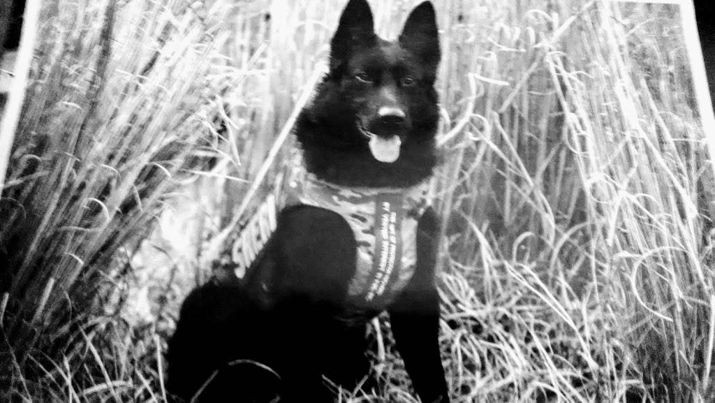 Hometown Heros Sports Bar And Grill | restaurant | 640 6th Ave, Dayton, KY 41074, USA | 8592068120 OR +1 859-206-8120