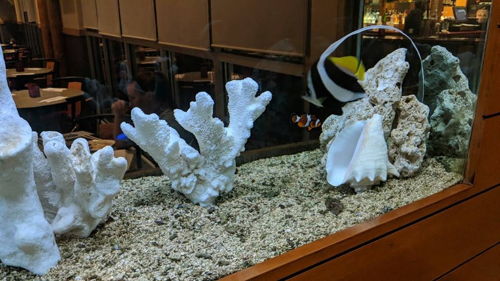 Benihana | restaurant | 515 Zang St, Broomfield, CO 80021, USA | 3034100482 OR +1 303-410-0482