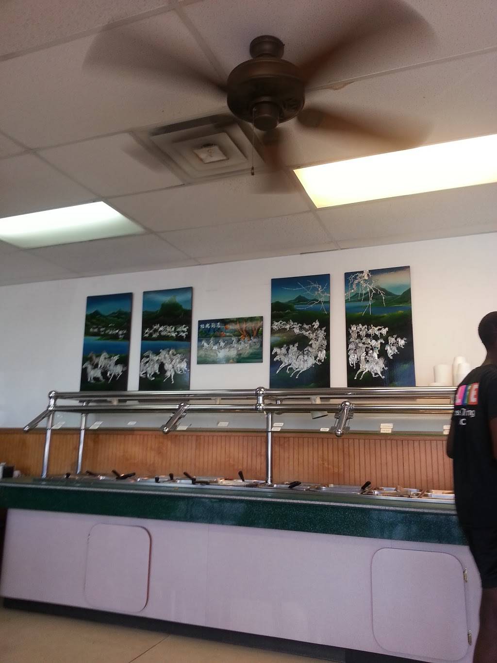 China Fun | restaurant | 536 US-71, Alma, AR 72921, USA | 4796328288 OR +1 479-632-8288