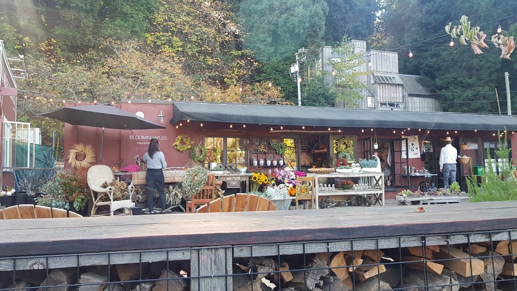 Mill Valley Lumber Yard | shopping mall | 129 Miller Ave, Mill Valley, CA 94941, USA | 4159570463 OR +1 415-957-0463