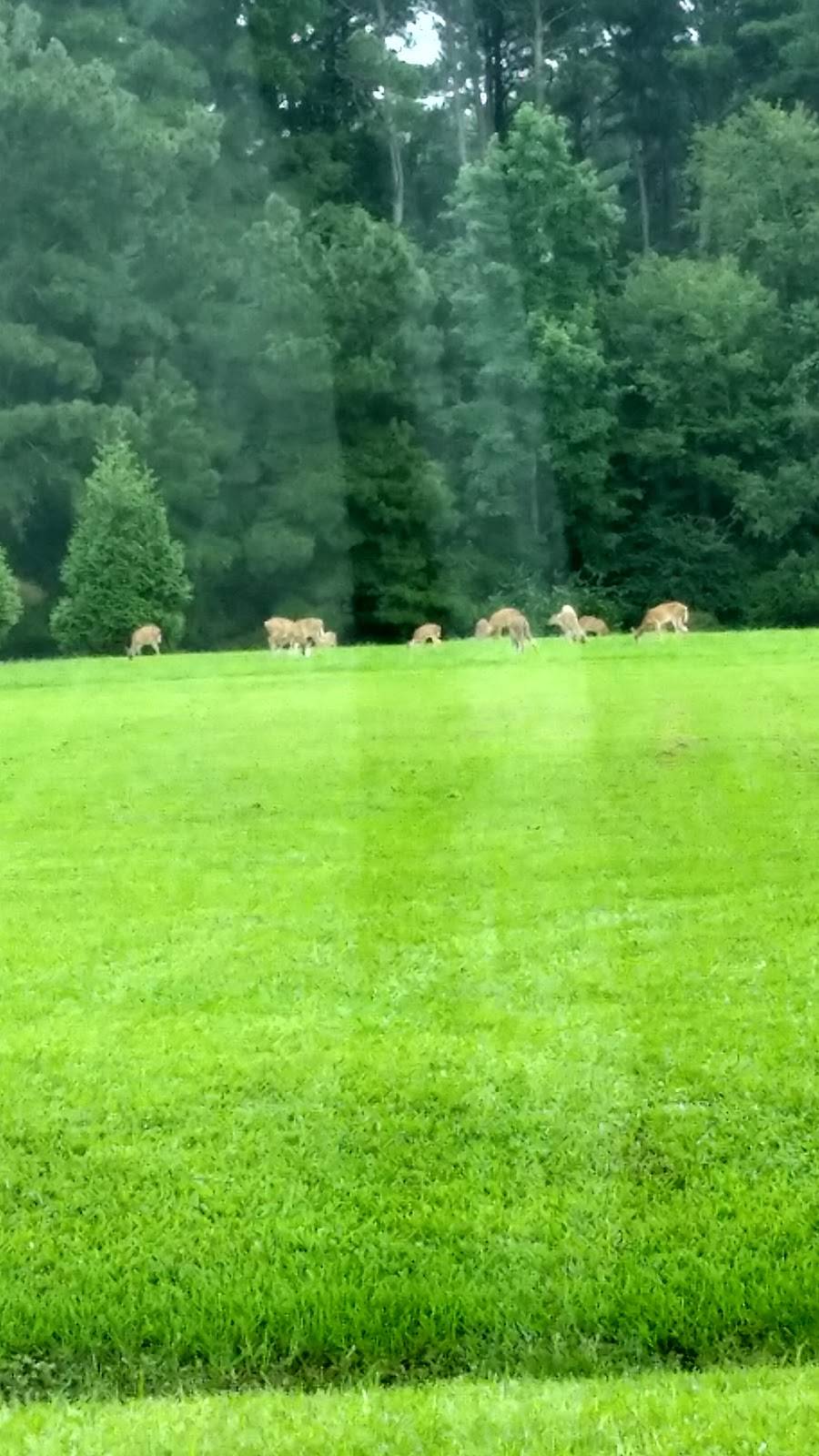 Captains Cove Golf & Yacht Club | restaurant | 3332 Captains Corridor, Greenbackville, VA 23356, USA | 7578243465 OR +1 757-824-3465