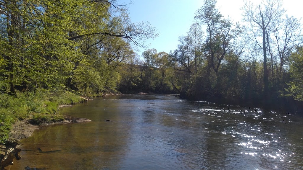 Green Heron Ale House | restaurant | 1110 Flinchum Rd, Danbury, NC 27016, USA | 3365934733 OR +1 336-593-4733