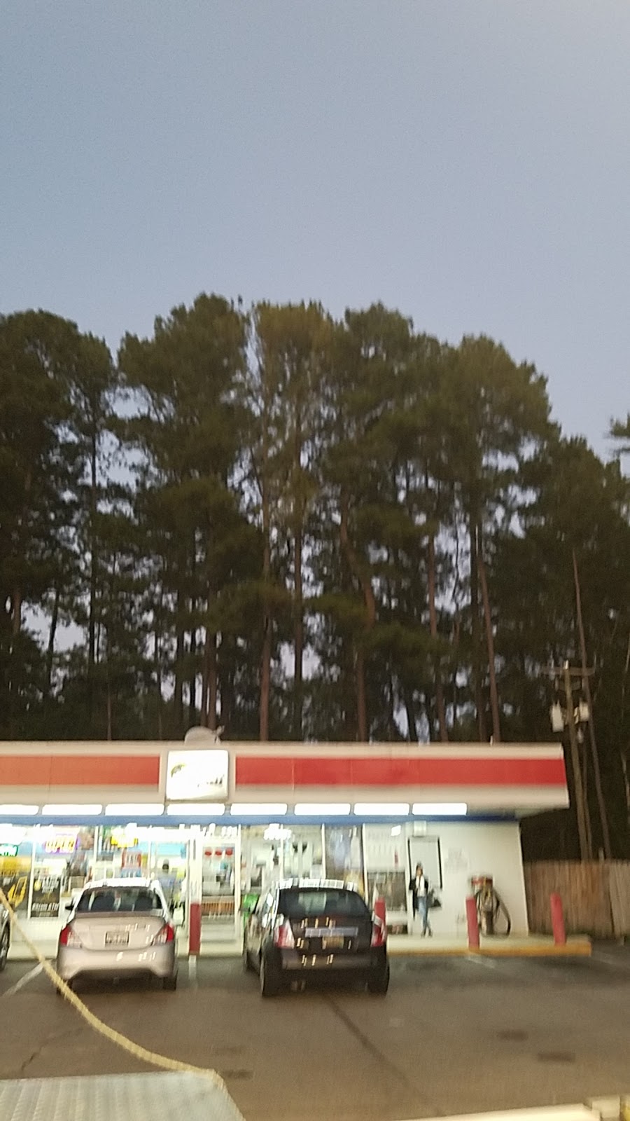 CITGO - Simba Express | meal takeaway | 2932 Alpine Rd, Columbia, SC 29223, USA | 8037365599 OR +1 803-736-5599