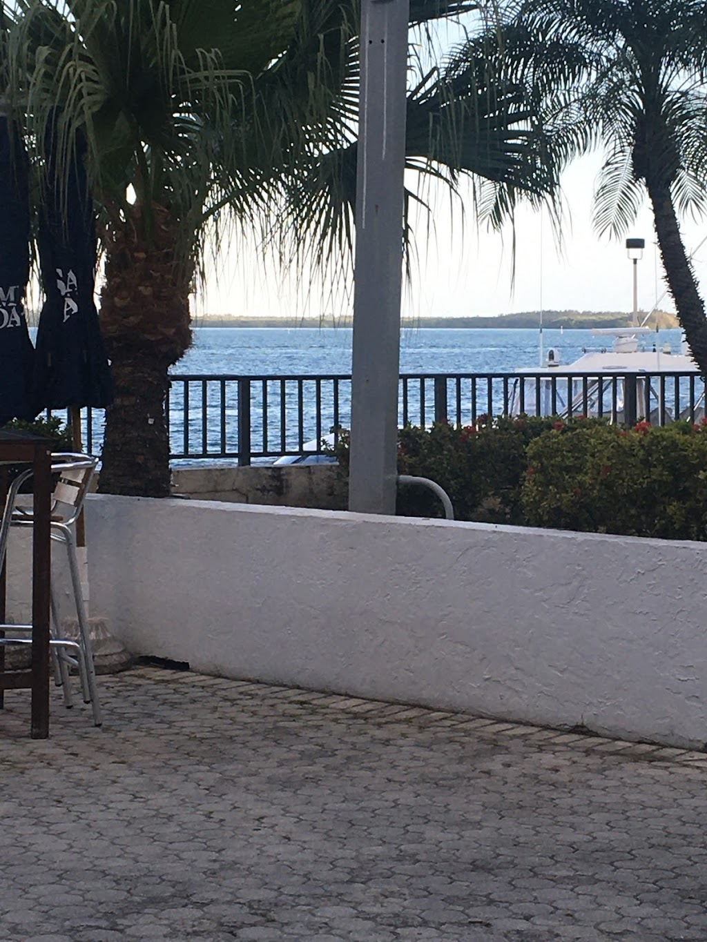 LOL ON THE BAY | restaurant | 905 Brickell Bay Dr, Miami, FL 33131, USA | 7868038580 OR +1 786-803-8580