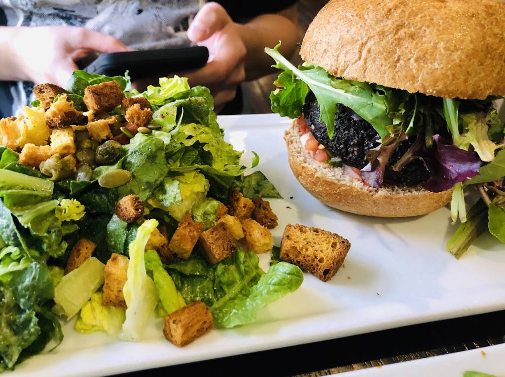 SunCafe | restaurant | 10820 Ventura Blvd, Studio City, CA 91604, USA | 8189274100 OR +1 818-927-4100