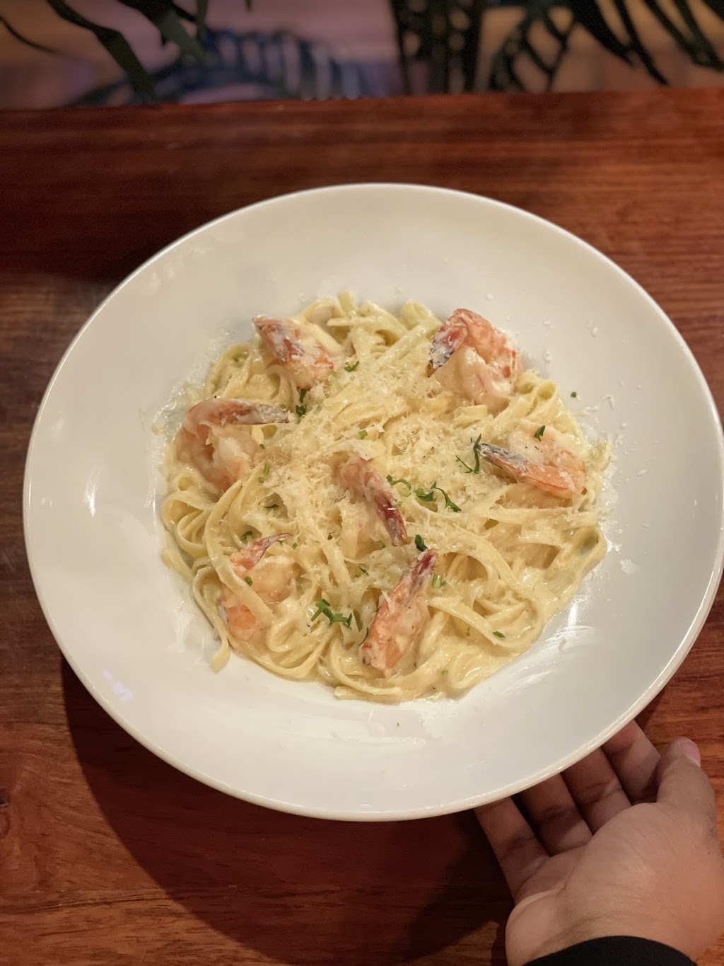 Caribe Restaurant West Hartford | restaurant | 345 Prospect Ave, West Hartford, CT 06105, USA | 8609049986 OR +1 860-904-9986