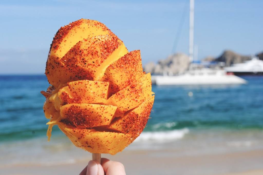 Baja Taco | restaurant | 4740 42nd Ave SW, Seattle, WA 98116, USA | 2066056572 OR +1 206-605-6572