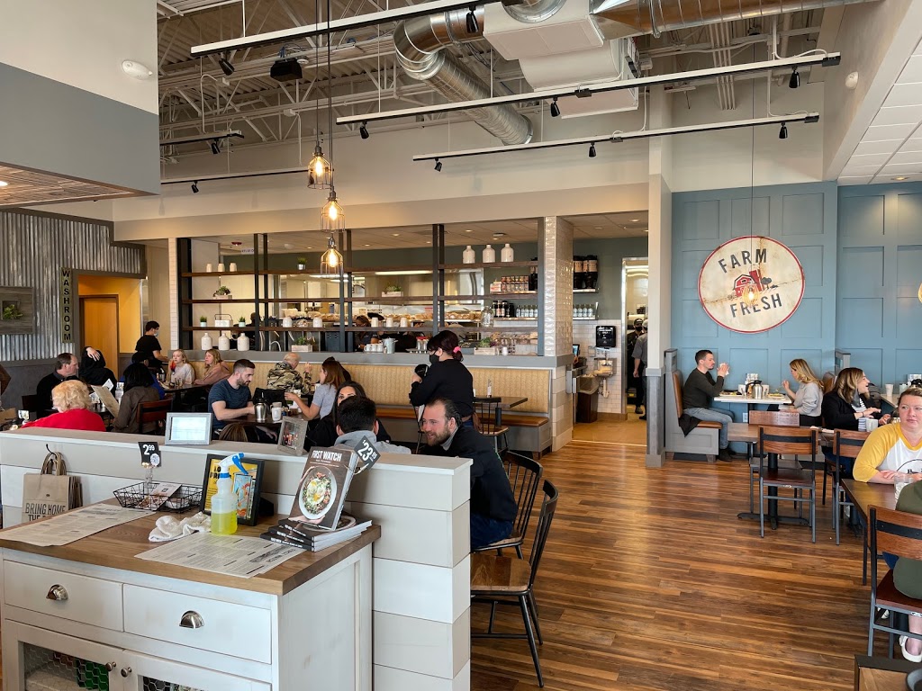 First Watch | cafe | 2155 22nd St Ste 24, Oak Brook, IL 60523, USA | 6307031958 OR +1 630-703-1958