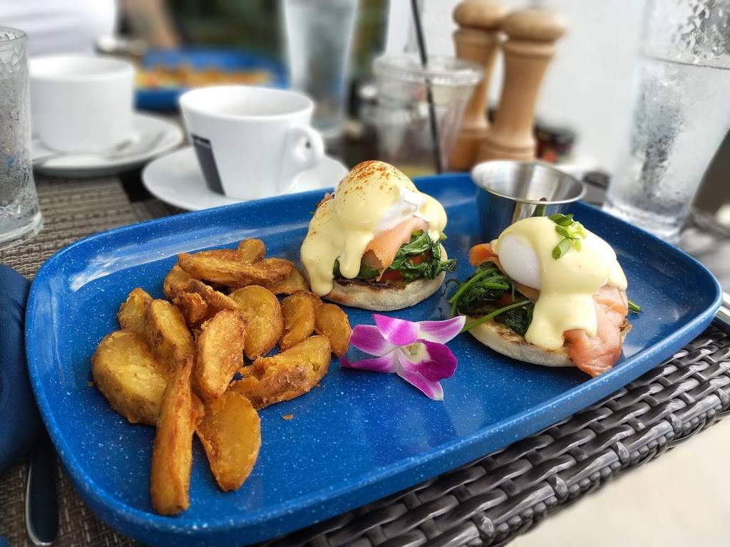 Panorama Restaurant & Sky Lounge | restaurant | 2889 McFarlane Rd #6008, Coconut Grove, FL 33133, USA | 3054478256 OR +1 305-447-8256