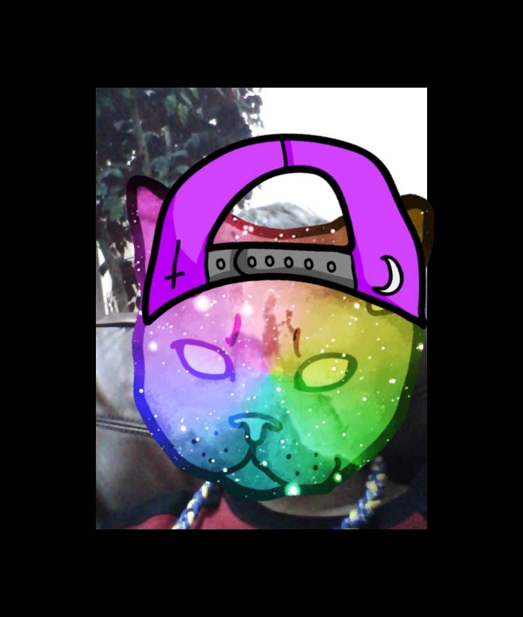 Naked Lunch | restaurant | 8298 Glass Alley, Fairfax, VA 22031, USA | 7036638810 OR +1 703-663-8810