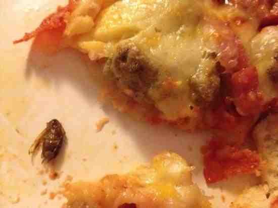 Pizza King | meal delivery | 8010 IN-3, Muncie, IN 47303, USA | 7652896145 OR +1 765-289-6145