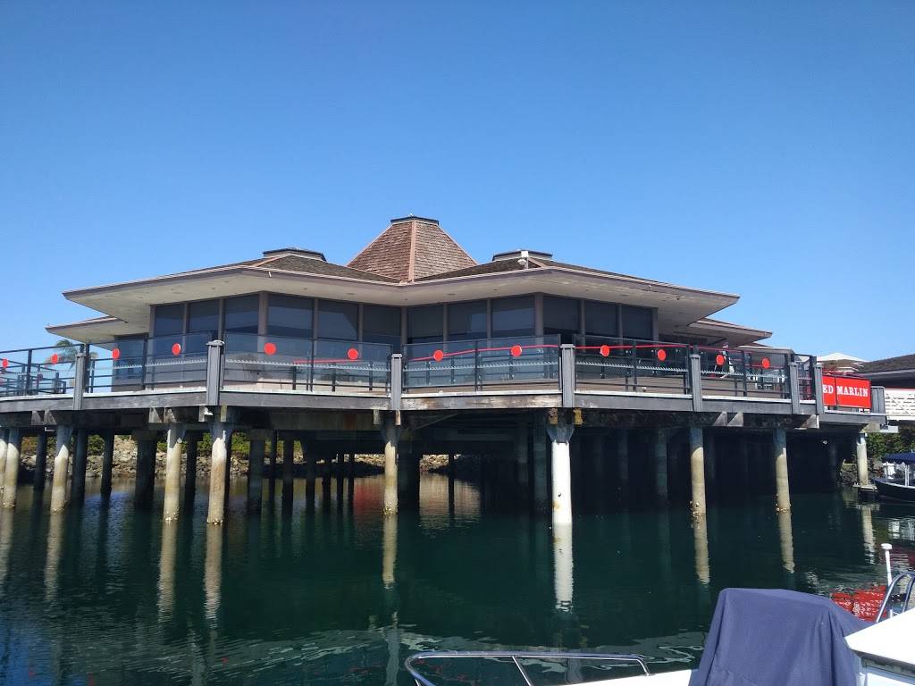 Red Marlin | restaurant | 1441 Quivira Rd, San Diego, CA 92109, USA | 6192214868 OR +1 619-221-4868