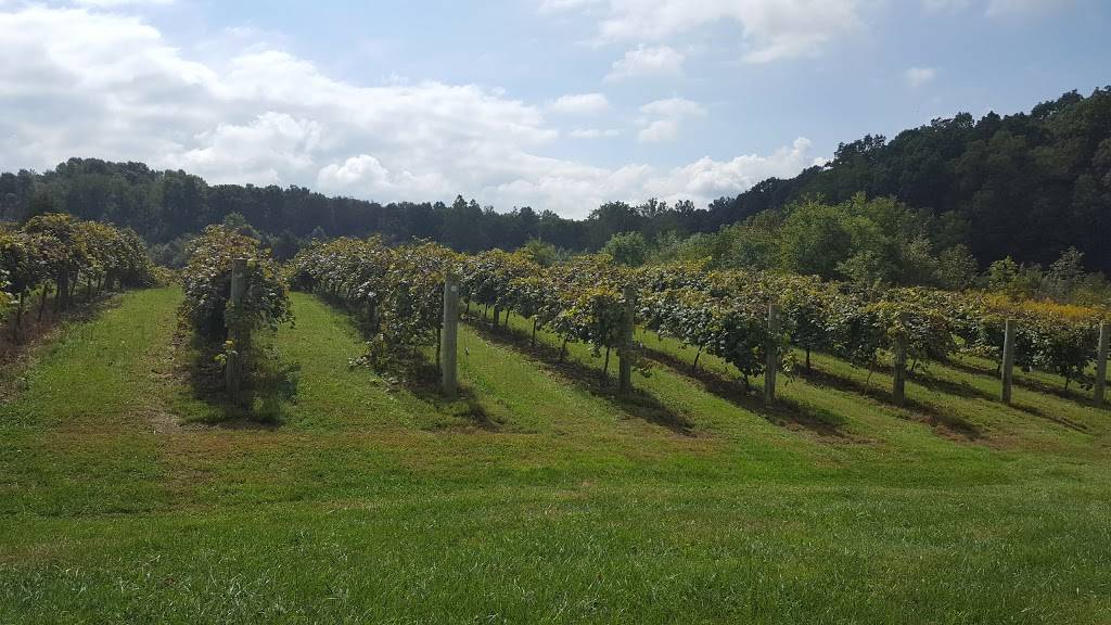 Ertel Cellars Winery Inc | restaurant | 3794 E County Rd 1100 N, Batesville, IN 47006, USA | 8129331500 OR +1 812-933-1500