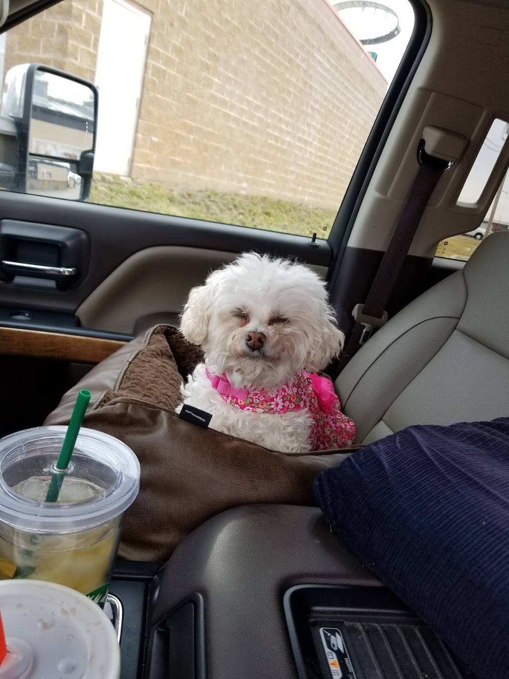 Burger King | restaurant | 1720 S Story St, Boone, IA 50036, USA | 5154321805 OR +1 515-432-1805