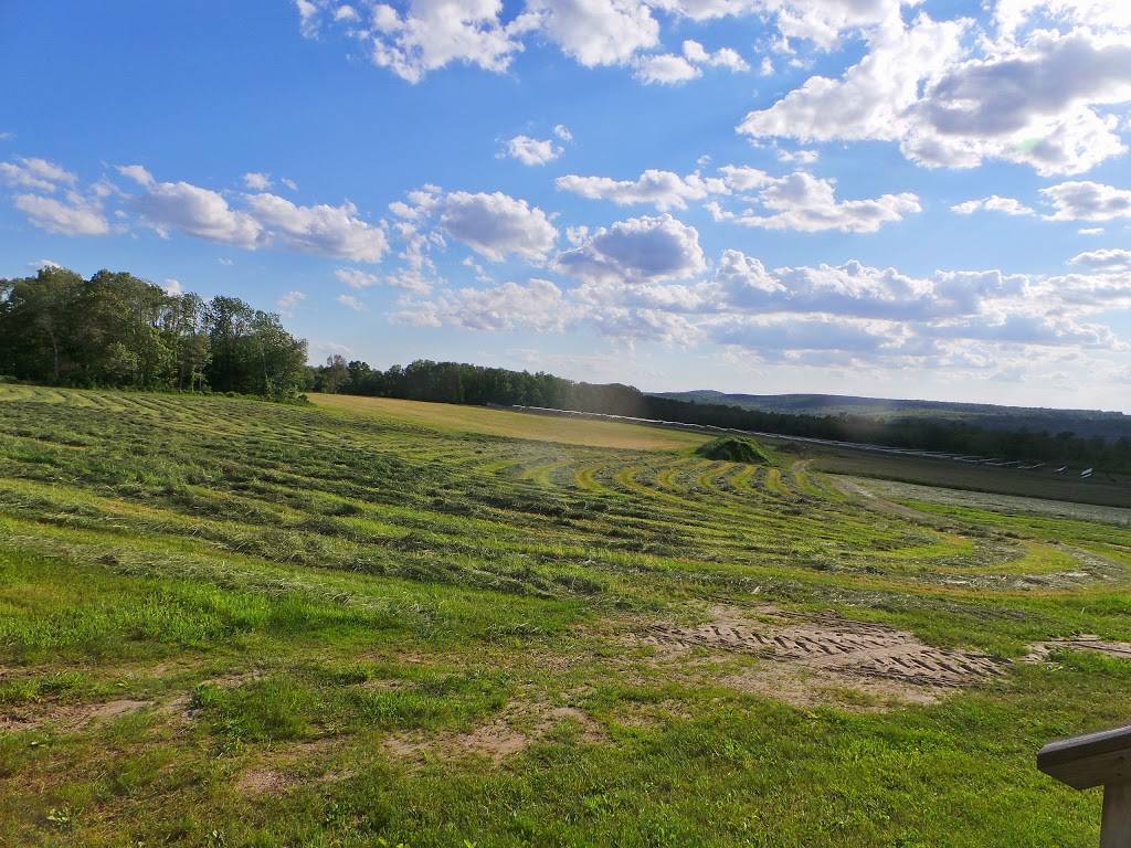 Westview Farms Creamery | restaurant | 111 E Hill Rd, Monson, MA 01057, USA | 4132675355 OR +1 413-267-5355