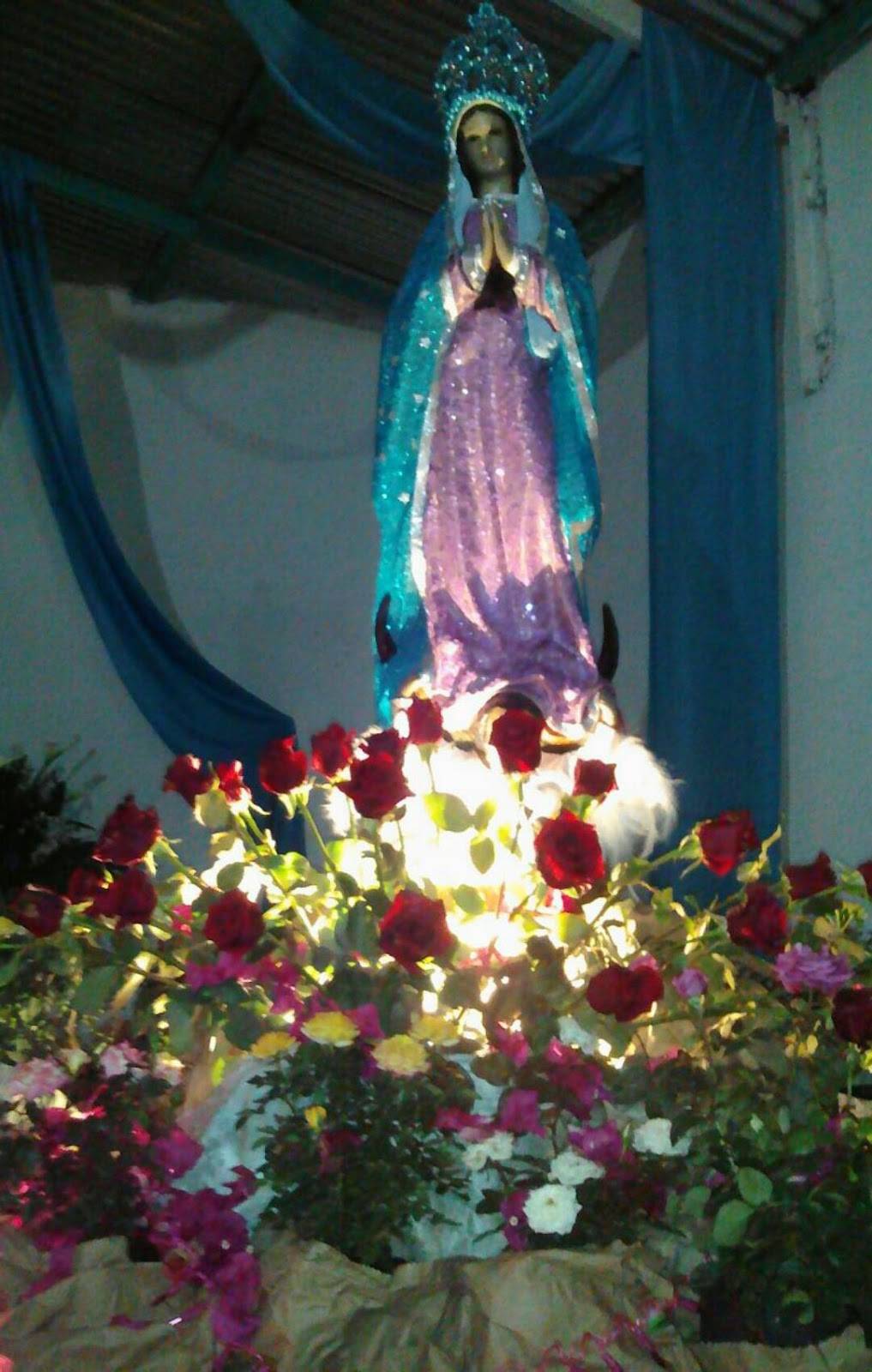 Papa Johns Pizza | restaurant | 601 N Main St, Shelbyville, TN 37160, USA | 9316844999 OR +1 931-684-4999