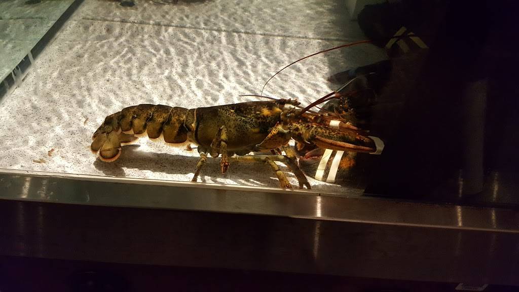 Red Lobster | restaurant | 5827 E State St, Rockford, IL 61108, USA | 8153975682 OR +1 815-397-5682