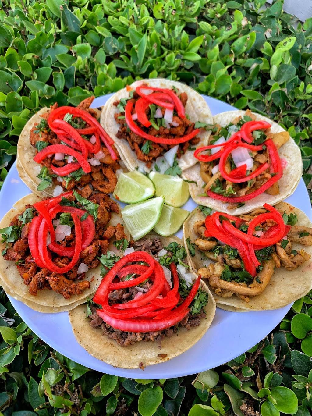 559 Street Tacos | restaurant | 780 E Nees Ave, Fresno, CA 93720, USA | 5597207059 OR +1 559-720-7059