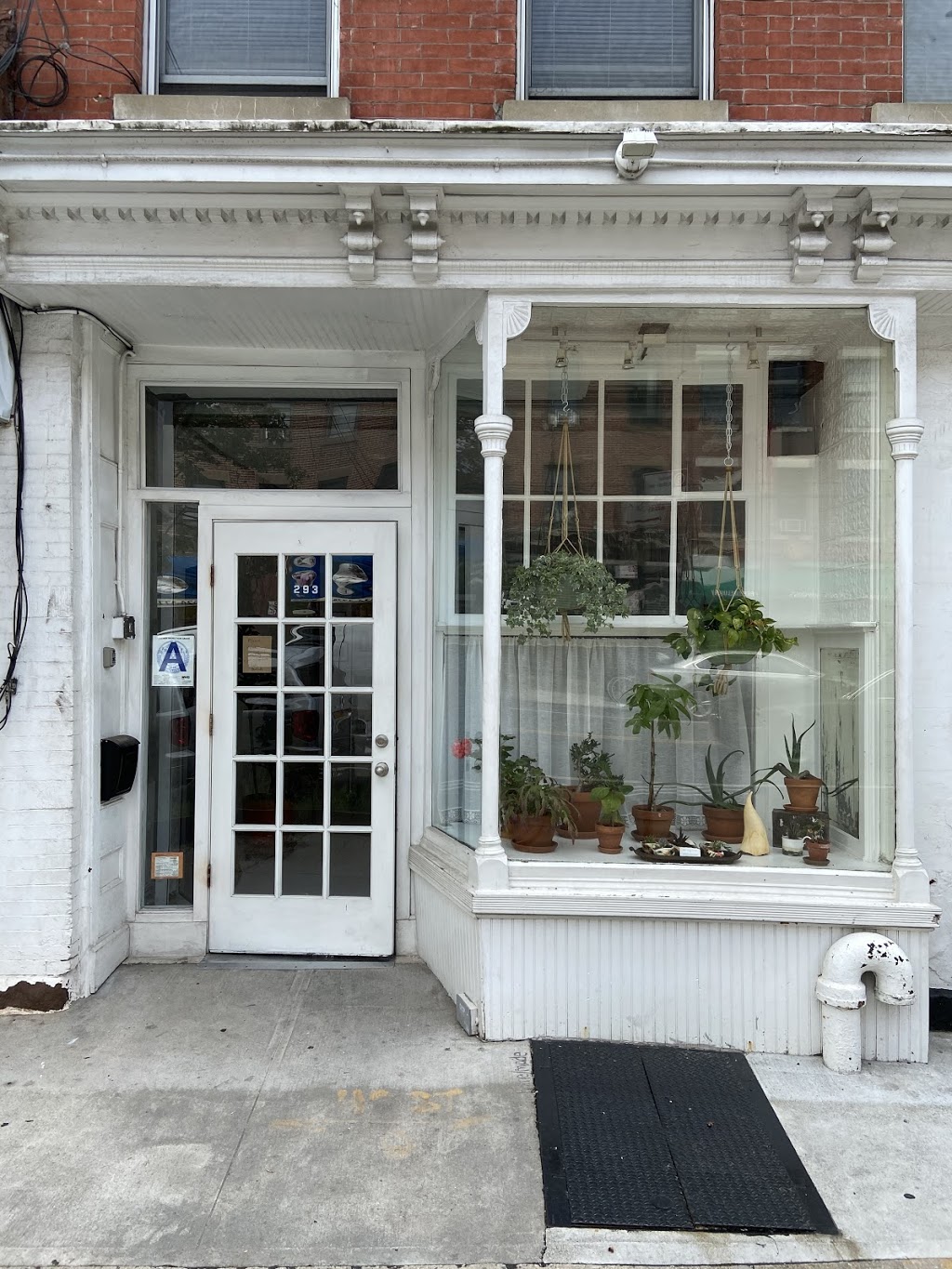 Hyssop | restaurant | 293 Van Brunt St, Brooklyn, NY 11231, USA | 9292950495 OR +1 929-295-0495