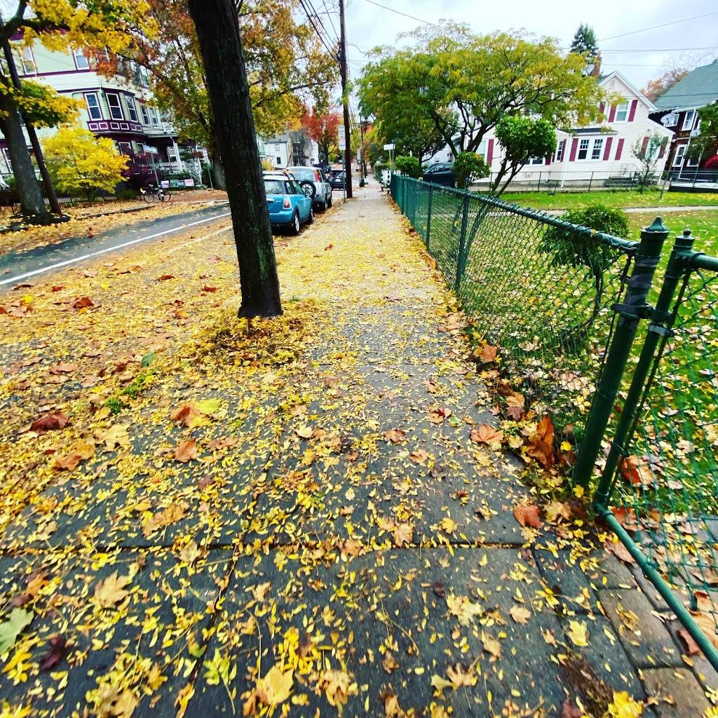 Stars at Cambridge | restaurant | 699 Mt Auburn St, Cambridge, MA 02138, USA | 6107471200 OR +1 610-747-1200