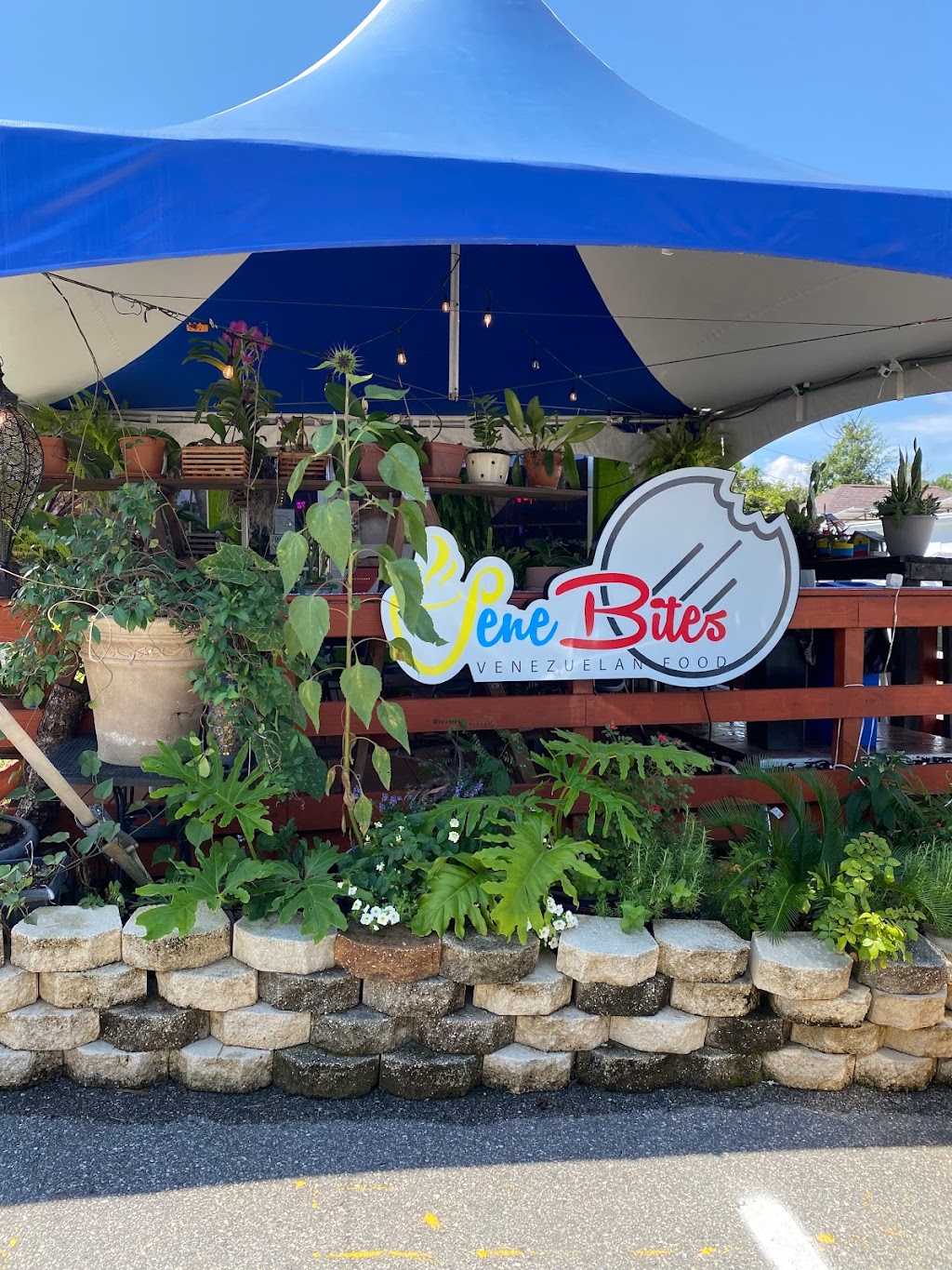 VeneBites | restaurant | 217 E 3rd Ave, Tallahassee, FL 32303, USA | 8507277641 OR +1 850-727-7641