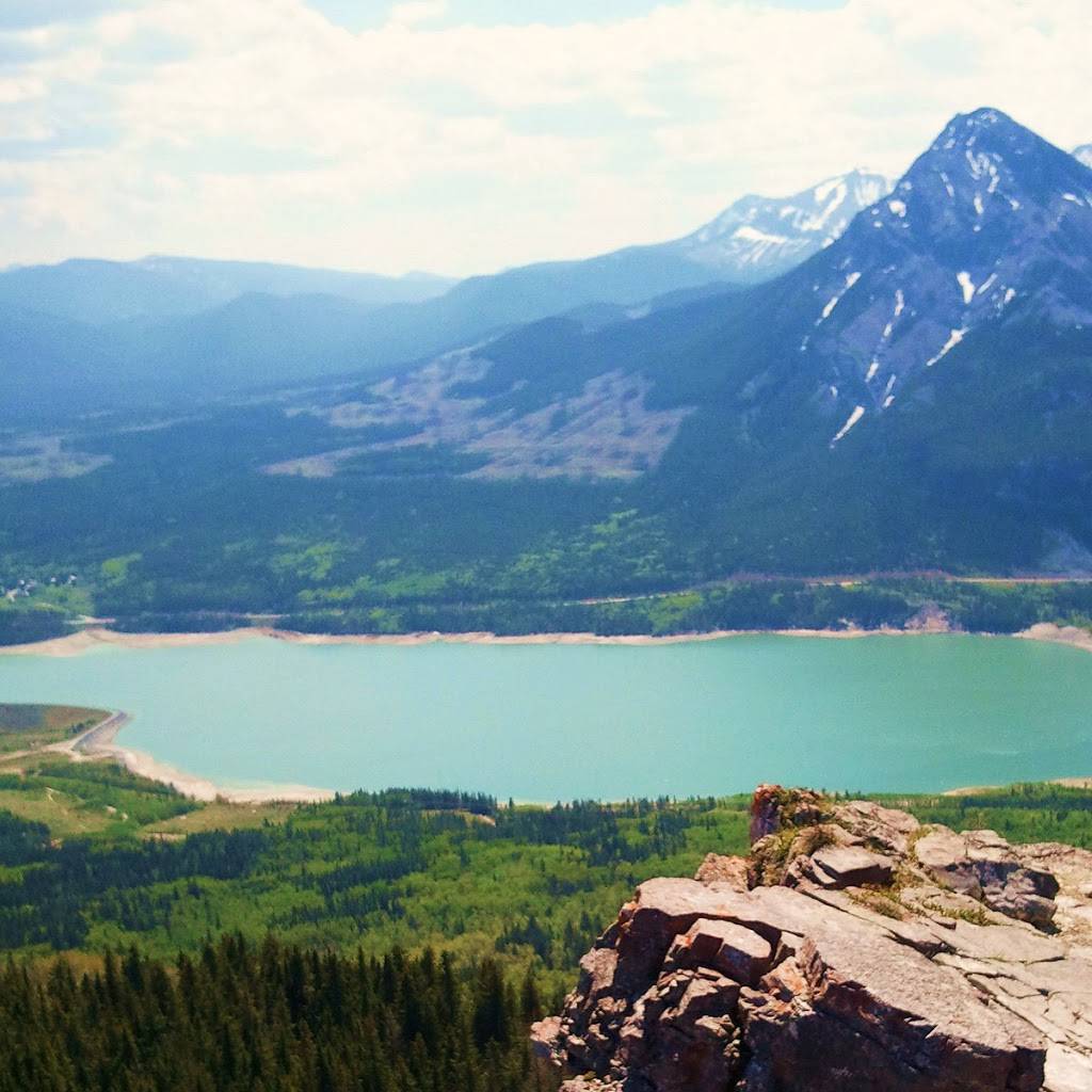 Tombergs Rotisserie Chicken | restaurant | 14580 S Military Trail, Delray Beach, FL 33484, USA | 5614964833 OR +1 561-496-4833