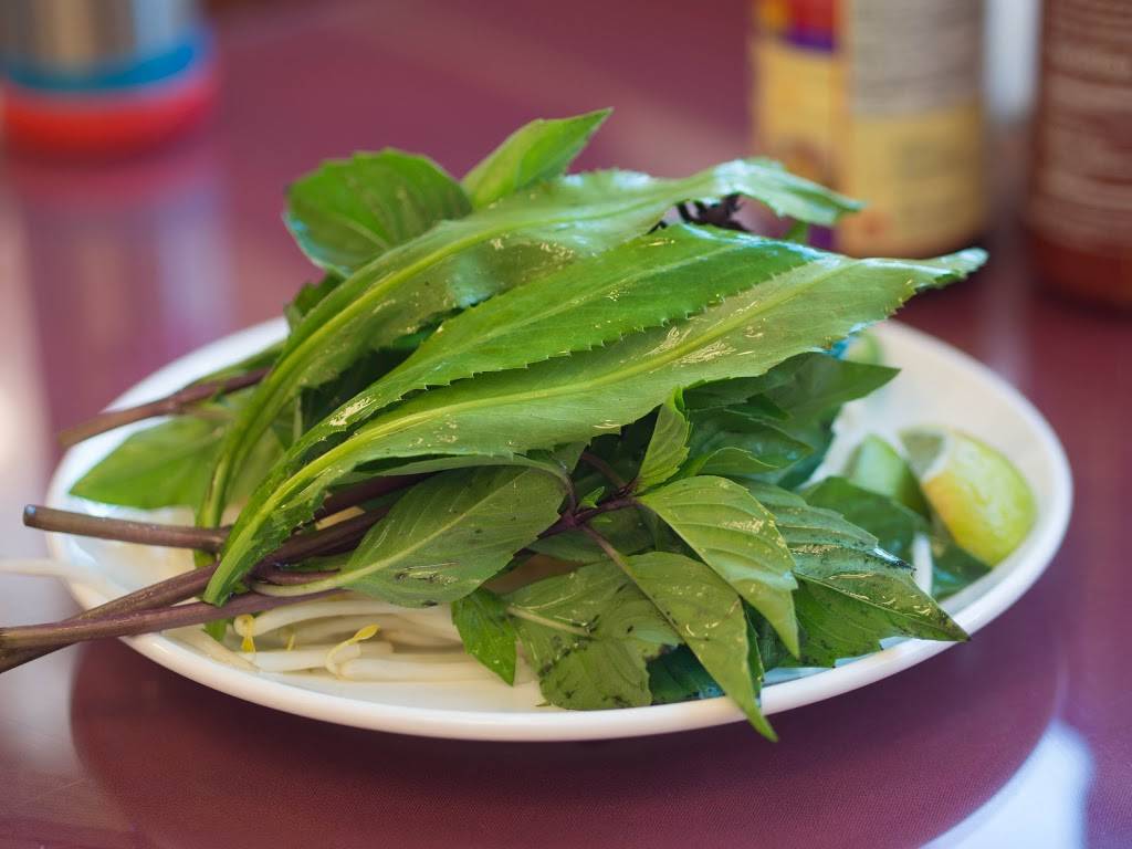 Phở Công Lý | restaurant | 460 E William St, San Jose, CA 95112, USA | 4086109849 OR +1 408-610-9849