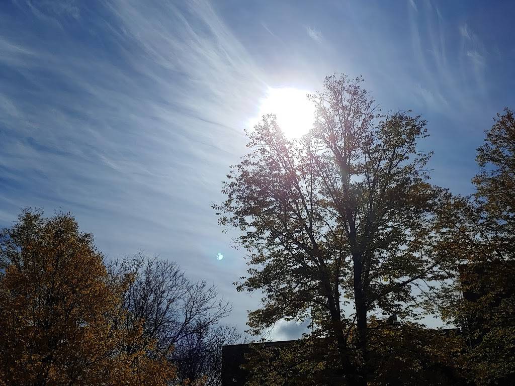 Restorrant | restaurant | 6133 N River Rd, Rosemont, IL 60018, USA | 8472685101 OR +1 847-268-5101