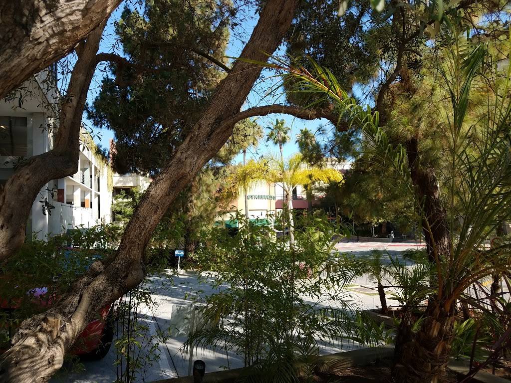 Starbucks | cafe | 550 Deep Valley Dr #179, Rolling Hills, CA 90274, USA | 3102658071 OR +1 310-265-8071