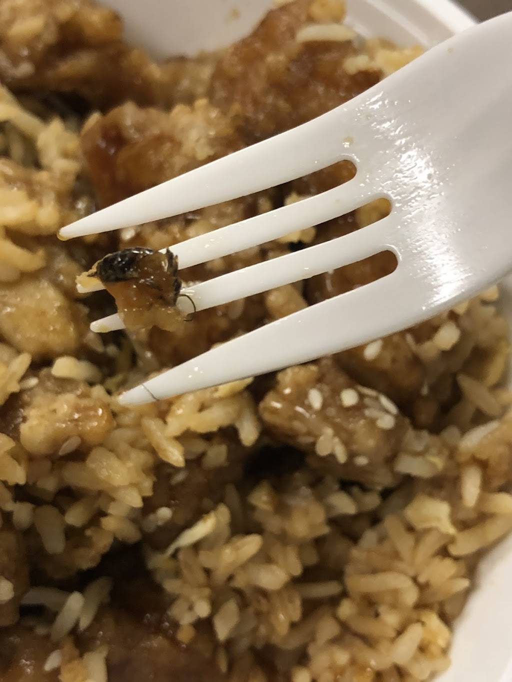 Lucky China 8 Chinese Restaurant | restaurant | 733 Joseph E. Boone Blvd NW, Atlanta, GA 30314, USA | 4048935888 OR +1 404-893-5888