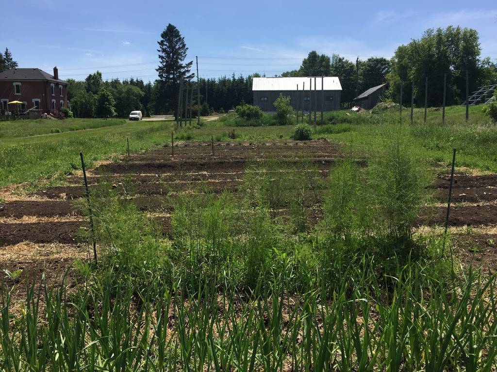 GoodLot Farm & GoodLot Farmstead Brewing Co. | restaurant | 18825 Shaws Creek Rd, Alton, ON L7K 1L3, Canada | 5199275881 OR +1 519-927-5881